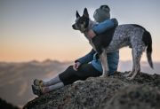 Traveling with a lovely dog to the top of a mountain